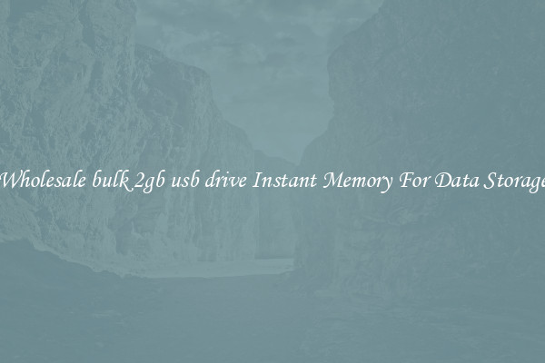 Wholesale bulk 2gb usb drive Instant Memory For Data Storage