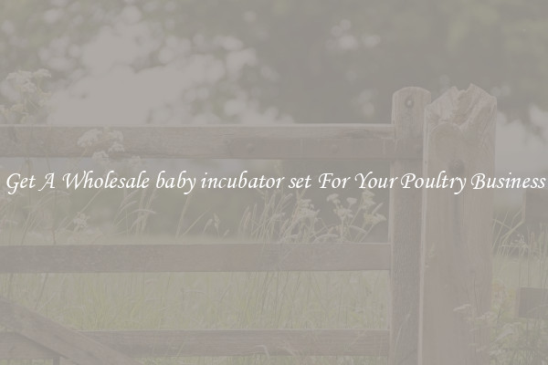 Get A Wholesale baby incubator set For Your Poultry Business