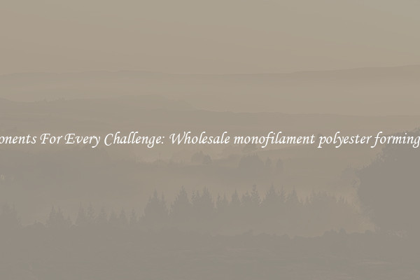 Components For Every Challenge: Wholesale monofilament polyester forming fabric