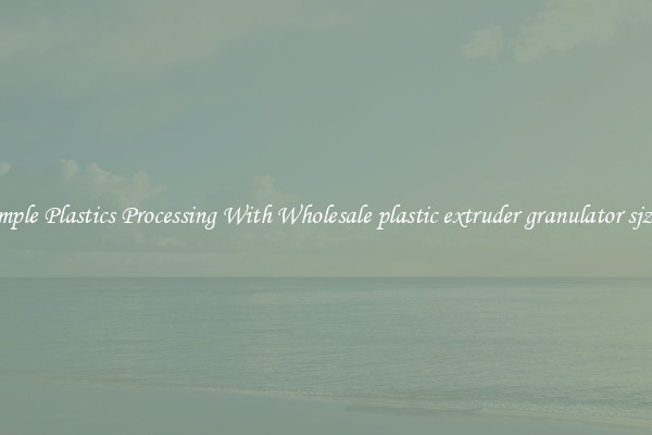 Simple Plastics Processing With Wholesale plastic extruder granulator sjz51