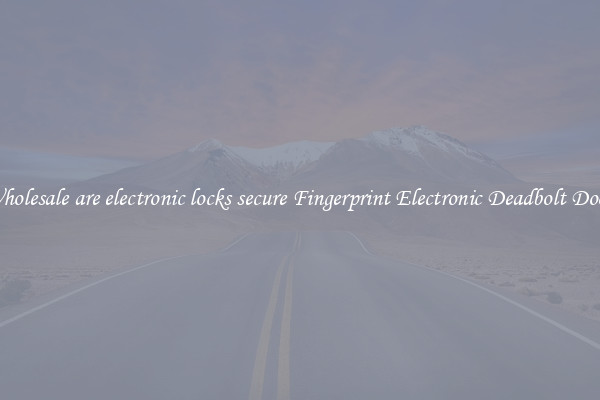Wholesale are electronic locks secure Fingerprint Electronic Deadbolt Door 