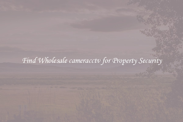 Find Wholesale cameracctv for Property Security
