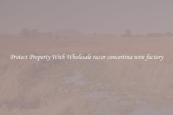 Protect Property With Wholesale razor concertina wire factory