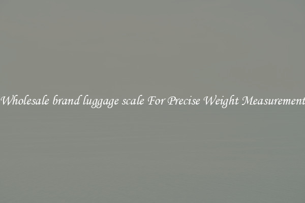 Wholesale brand luggage scale For Precise Weight Measurement