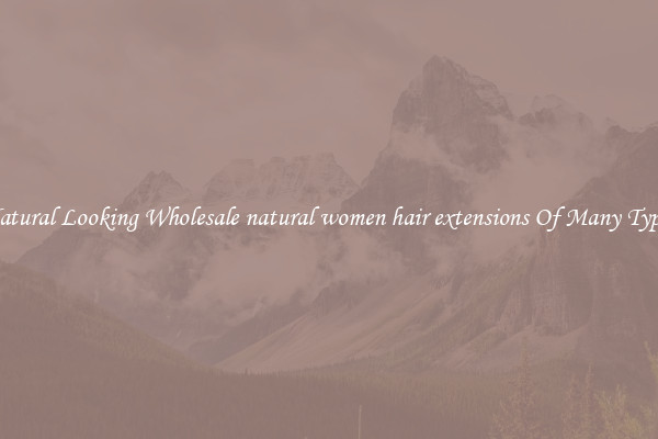 Natural Looking Wholesale natural women hair extensions Of Many Types