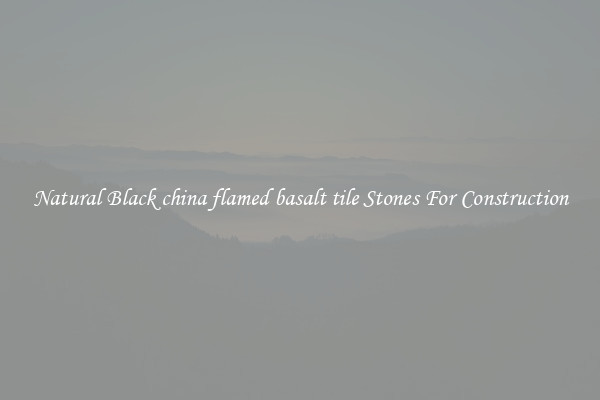 Natural Black china flamed basalt tile Stones For Construction