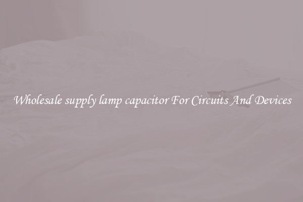 Wholesale supply lamp capacitor For Circuits And Devices