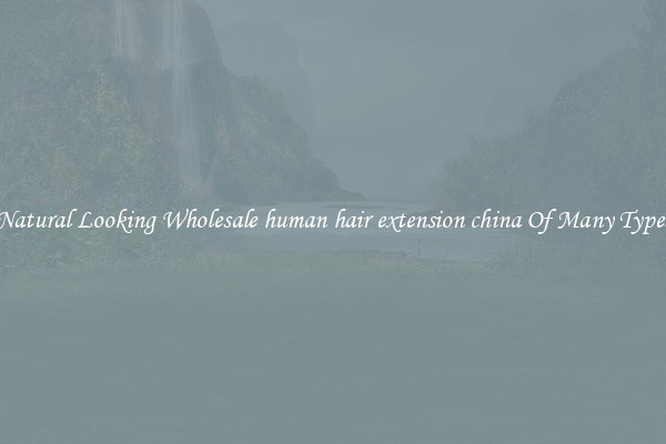 Natural Looking Wholesale human hair extension china Of Many Types