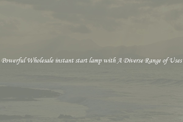 Powerful Wholesale instant start lamp with A Diverse Range of Uses