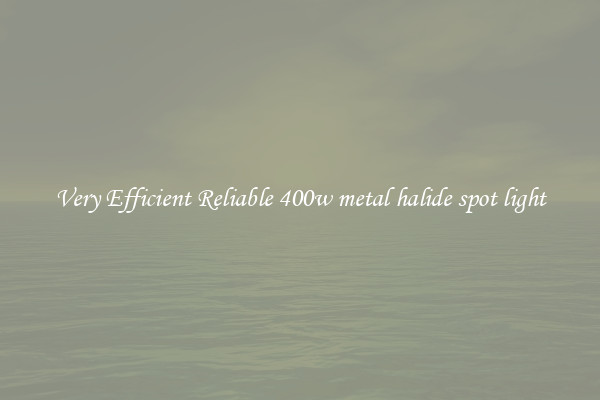 Very Efficient Reliable 400w metal halide spot light