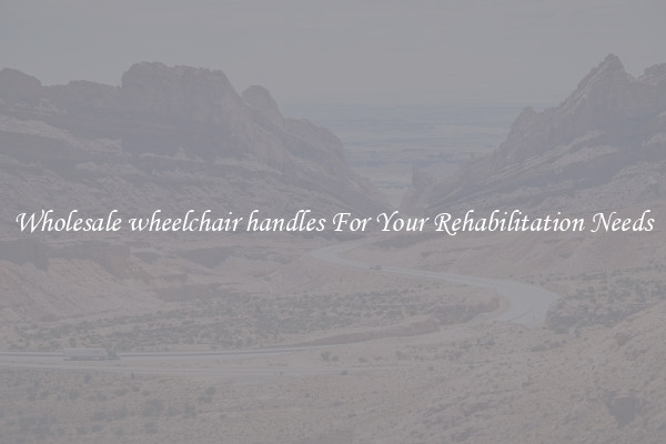 Wholesale wheelchair handles For Your Rehabilitation Needs