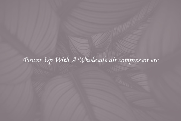 Power Up With A Wholesale air compressor erc