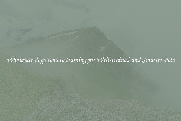 Wholesale dogs remote training for Well-trained and Smarter Pets