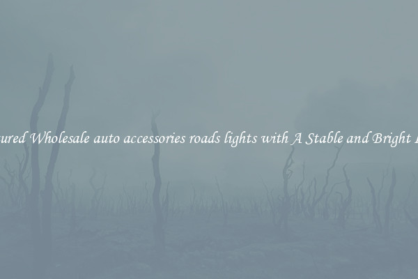 Featured Wholesale auto accessories roads lights with A Stable and Bright Light
