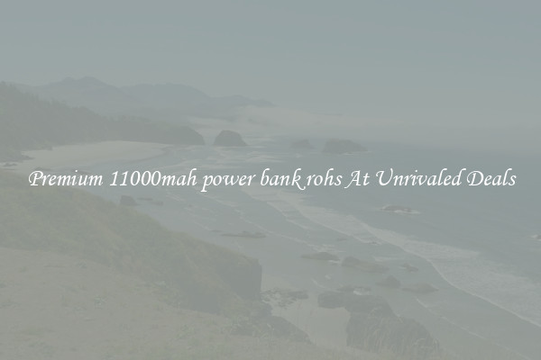 Premium 11000mah power bank rohs At Unrivaled Deals
